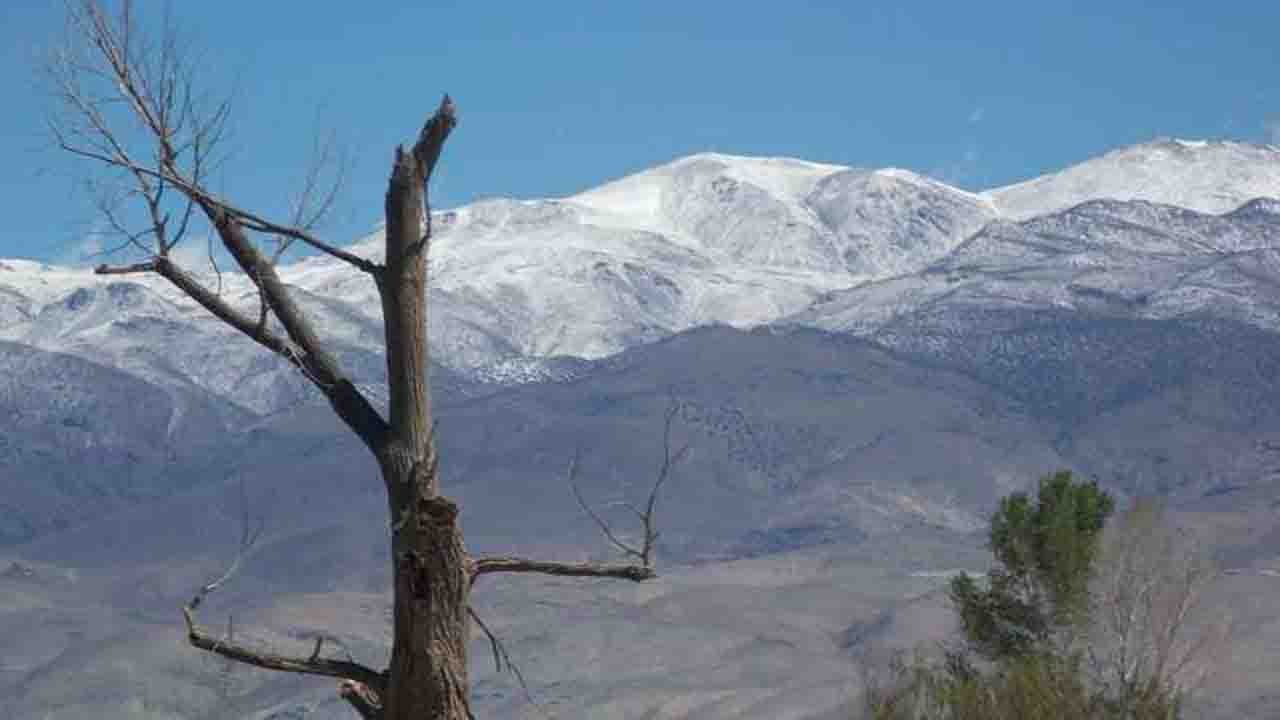 Rüyada Budak görmek ne anlama gelir?