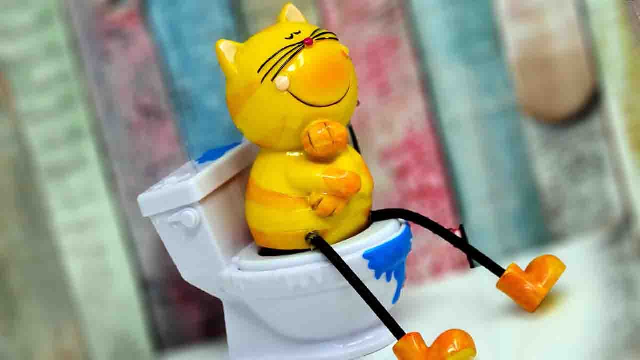 Rüyada Büyük abdest görmek ne anlama gelir?