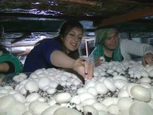 Kendi evinde patron oldu!