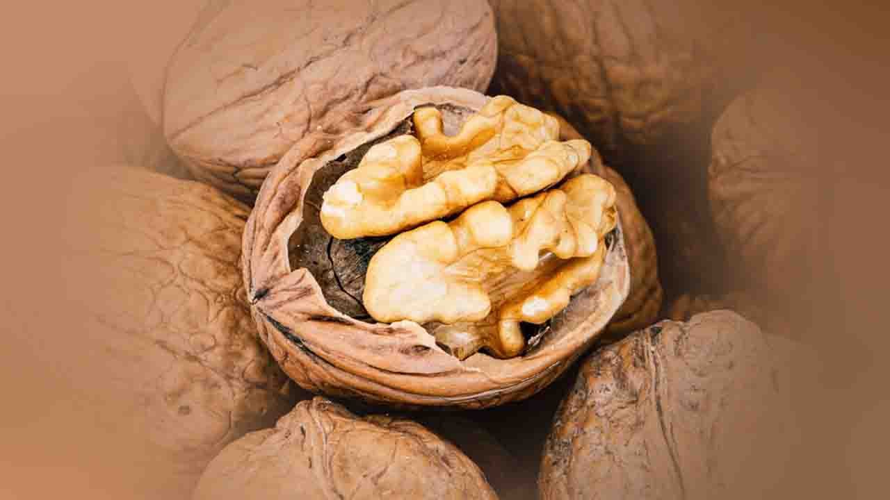 Rüyada Ceviz görmek ne anlama gelir?