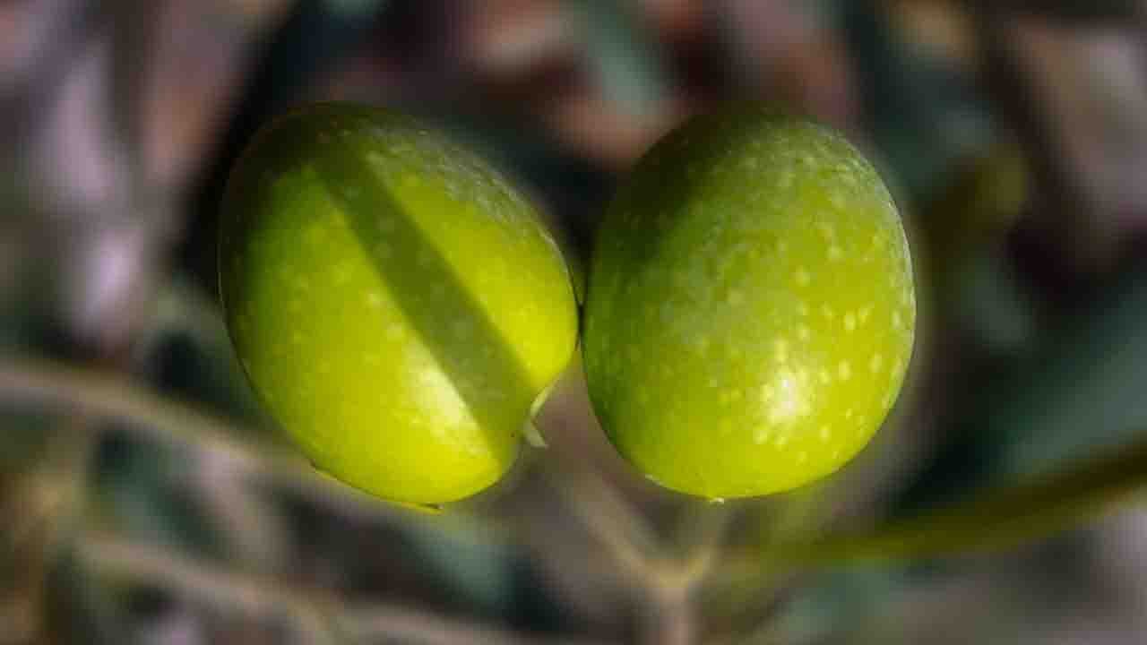 Rüyada Çağla görmek ne anlama gelir?