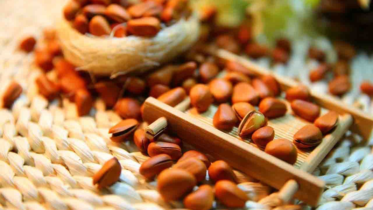 Rüyada Çam Fıstığı görmek ne anlama gelir?