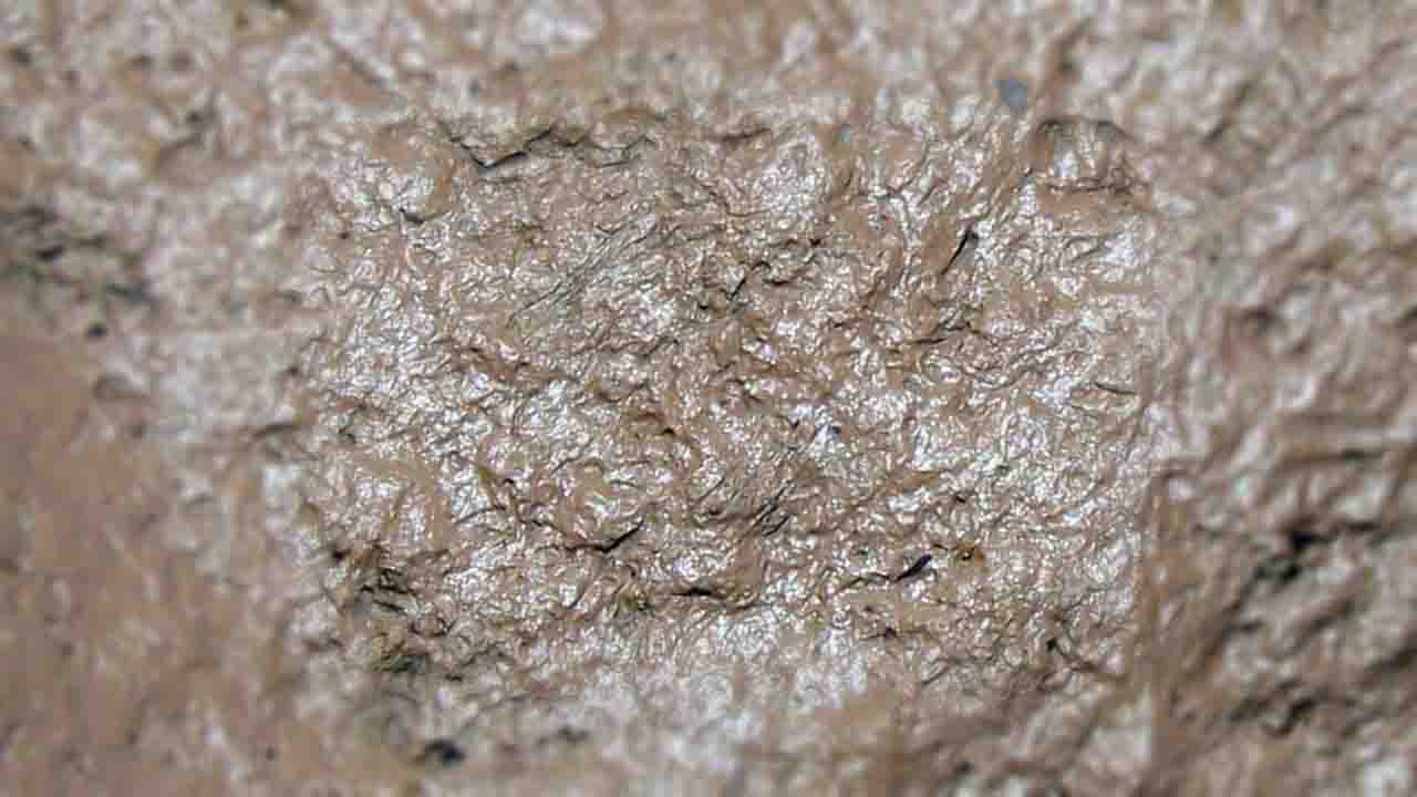 Rüyada Çamur görmek ne anlama gelir?