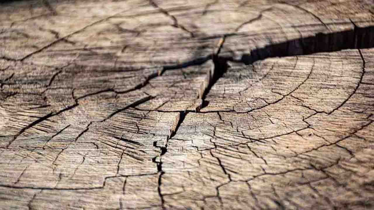 Rüyada Çatlak görmek ne anlama gelir?