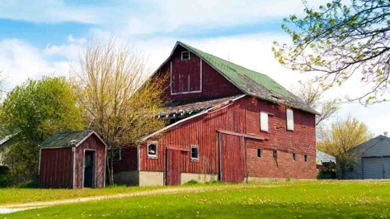 Rüyada Çiftlik görmek ne anlama gelir?