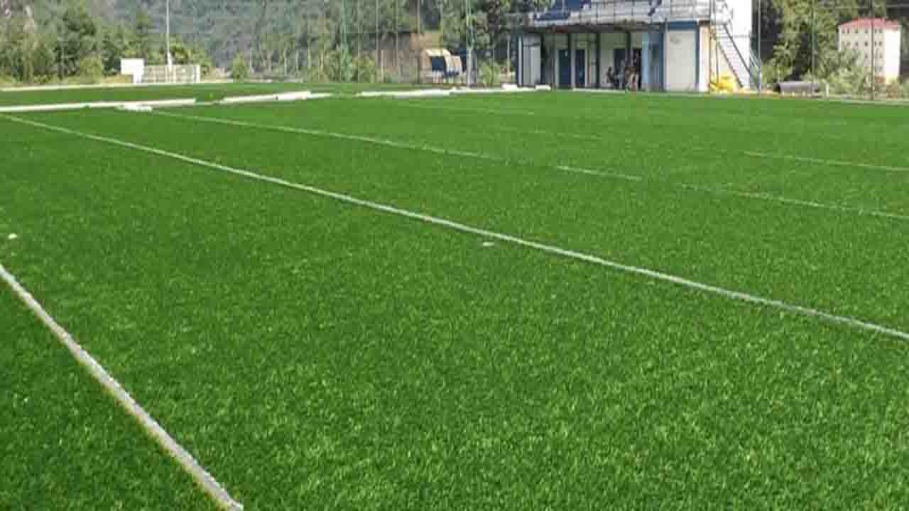 Rüyada Çim görmek ne anlama gelir?