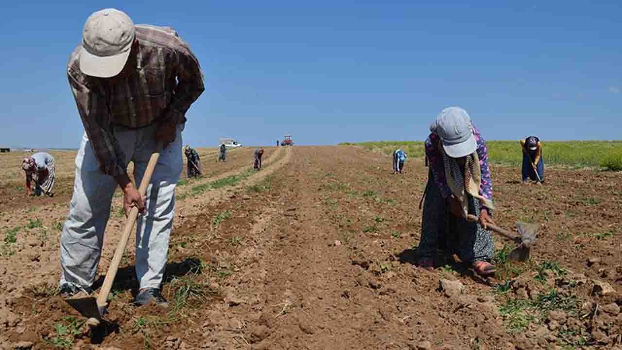 Rüyada Çapa görmek ne anlama gelir?