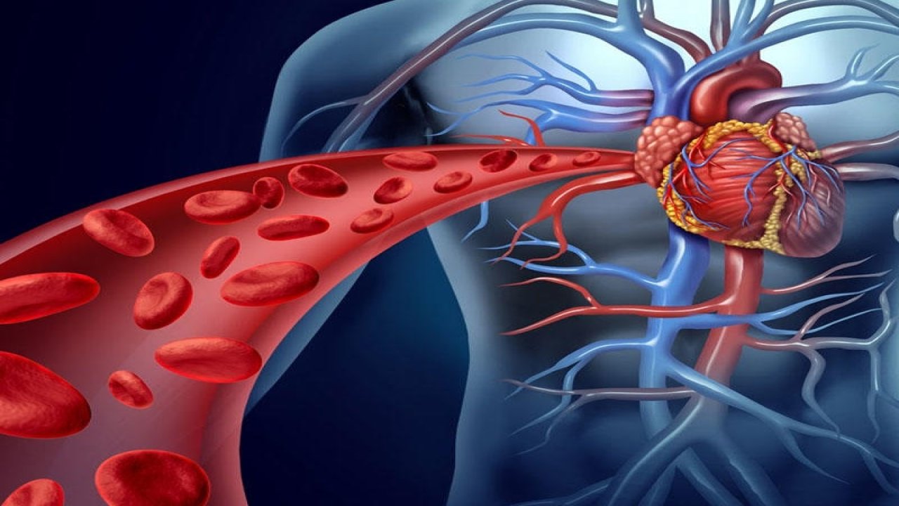 Rüyada Damar ve Sinir görmek ne anlama gelir?