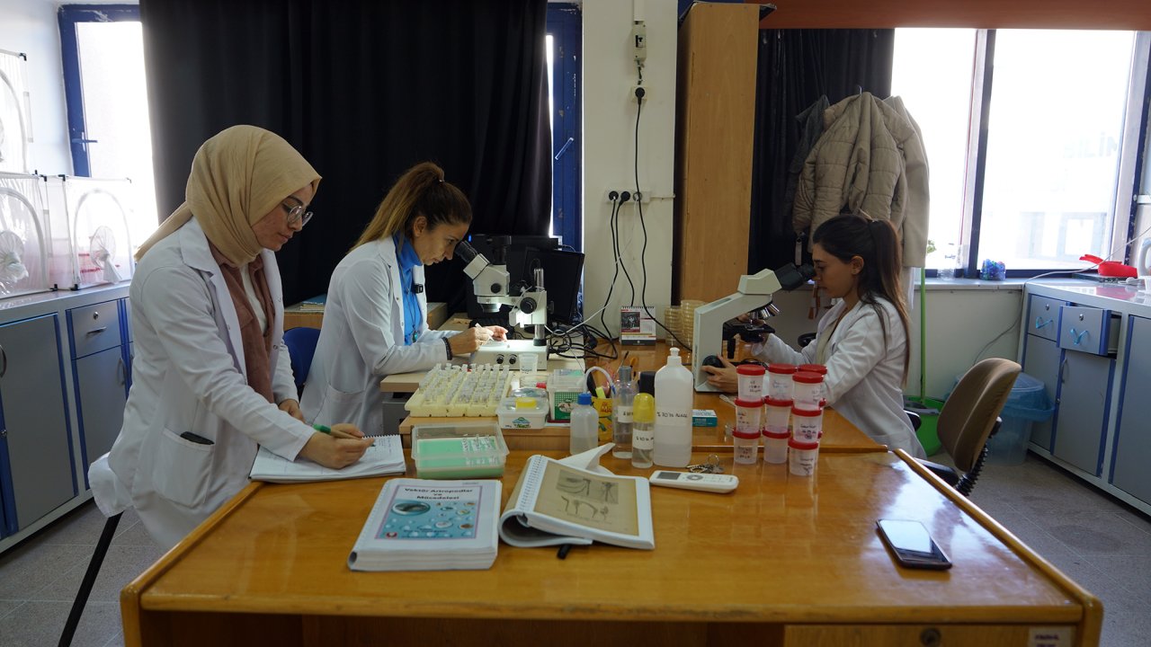 Büyükşehir zararlılarla mücadelede etkinliğini daha da artırıyor