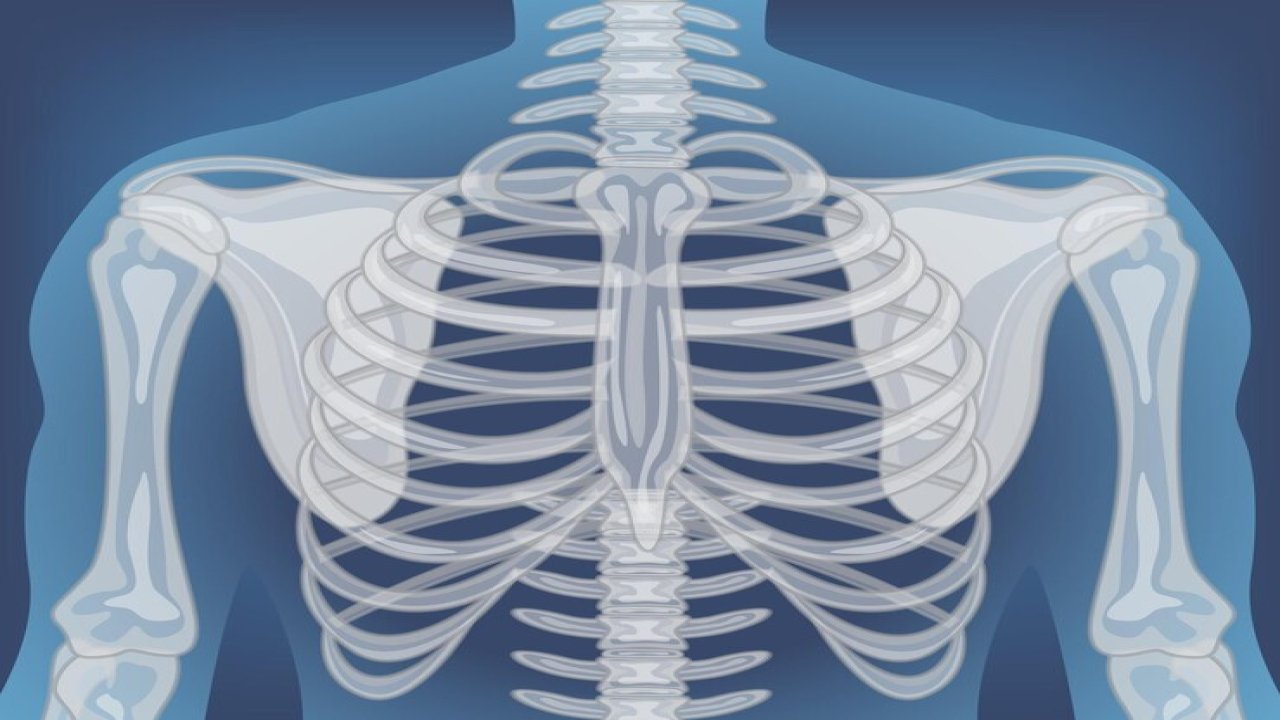 Rüyada Eğe kemikleri görmek ne anlama gelir?