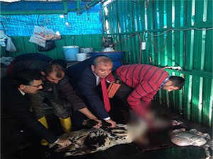 Bakanlığa “Kurban” Feda