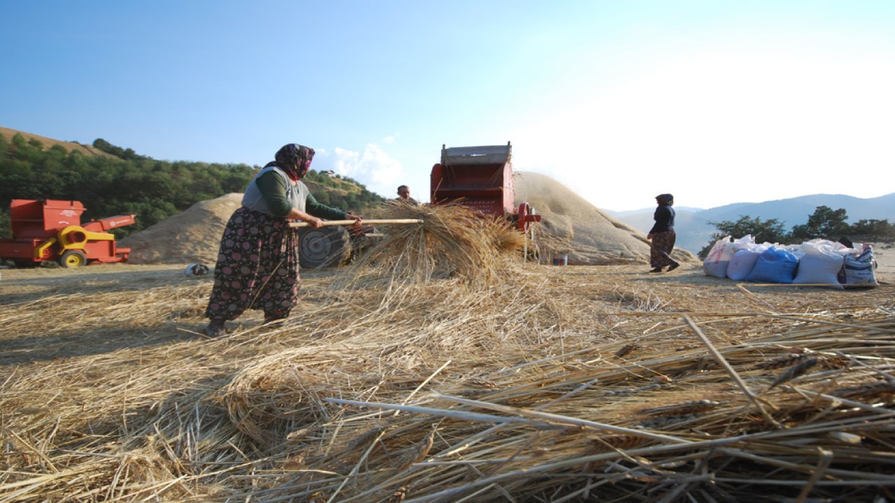 Rüyada Harman görmek ne anlama gelir?