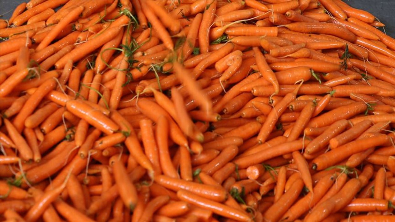 Rüyada Havuç görmek ne anlama gelir?