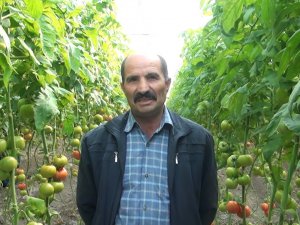 Köyünde sera kurdu, köylüye örnek oldu