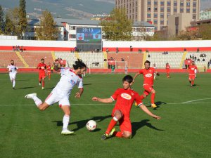 Aslan ile Paşa kuzu kuzu: 1-1