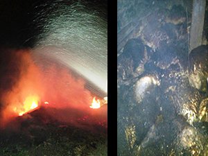 161 hayvan yangında telef oldu