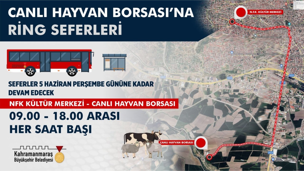 Bayram Öncesi Canlı Hayvan Borsası’na Otobüs Seferi