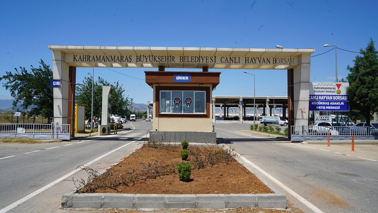 Kahramanmaraş Hayvan Borsası’nda Hazırlıklar Tamamlandı