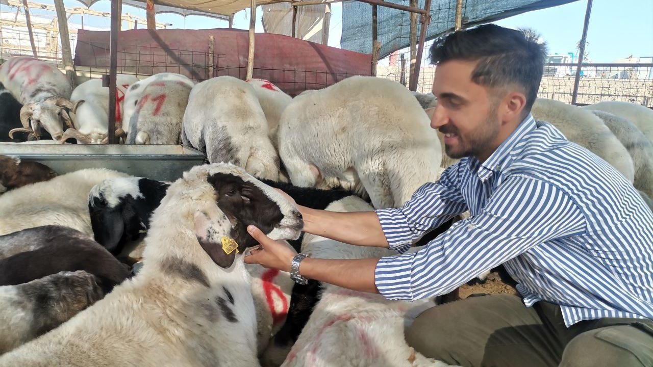 Kahramanmaraş’ta Kurbanlık Telaşı