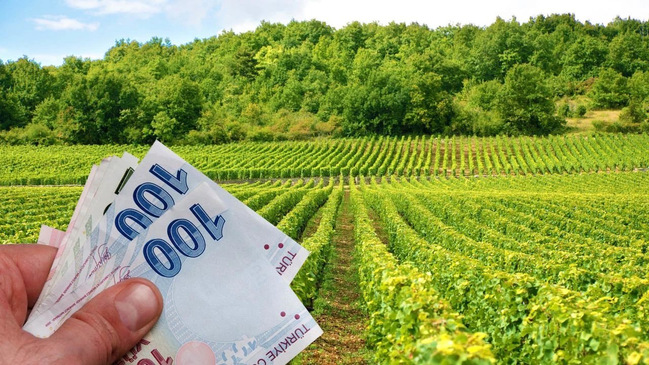 Hibe desteği alanlar belli oldu: Kahramanmaraş'ta sözleşme süreci başladı