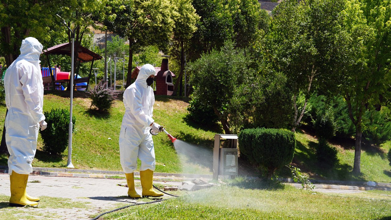 Kene tehdidine karşı Büyükşehir sahada