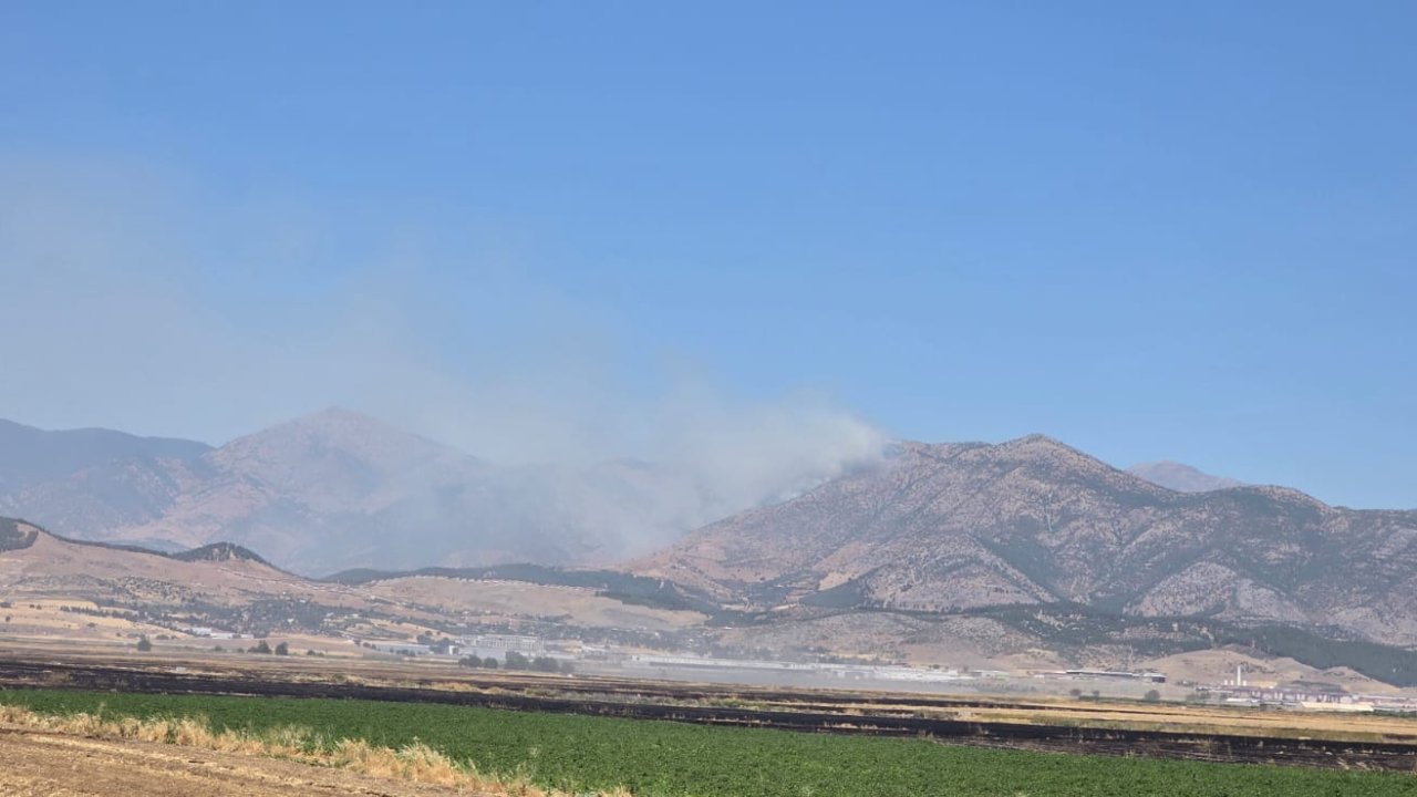 Kahramanmaraş Türkoğlu’nda Orman Yangını