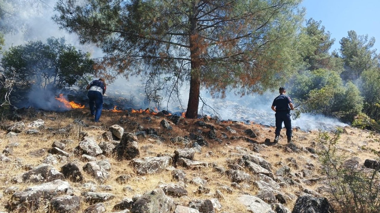 Kahramanmaraş’ta piknik yapmak istediler ormanı yaktılar