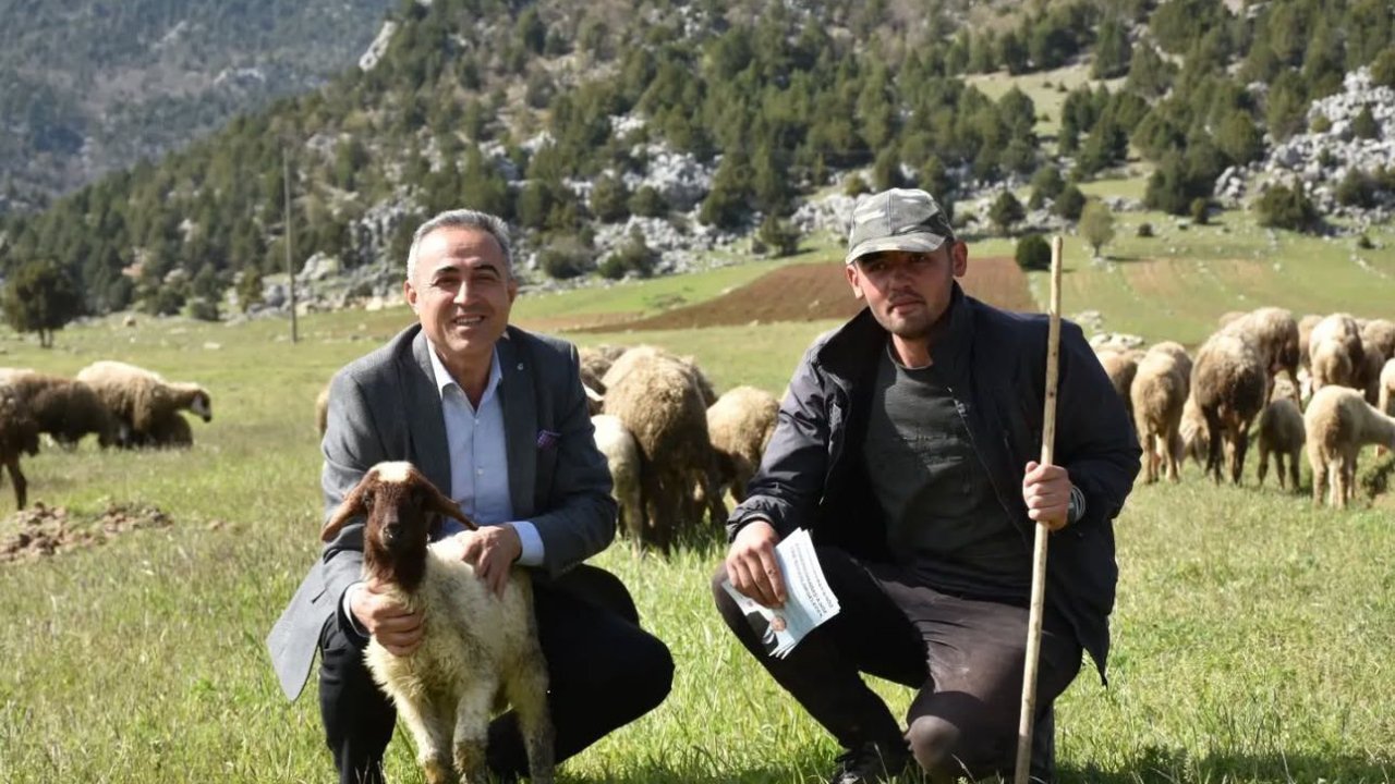 Karatutlu: Deprem bölgesinde hayvancılık alarm veriyor