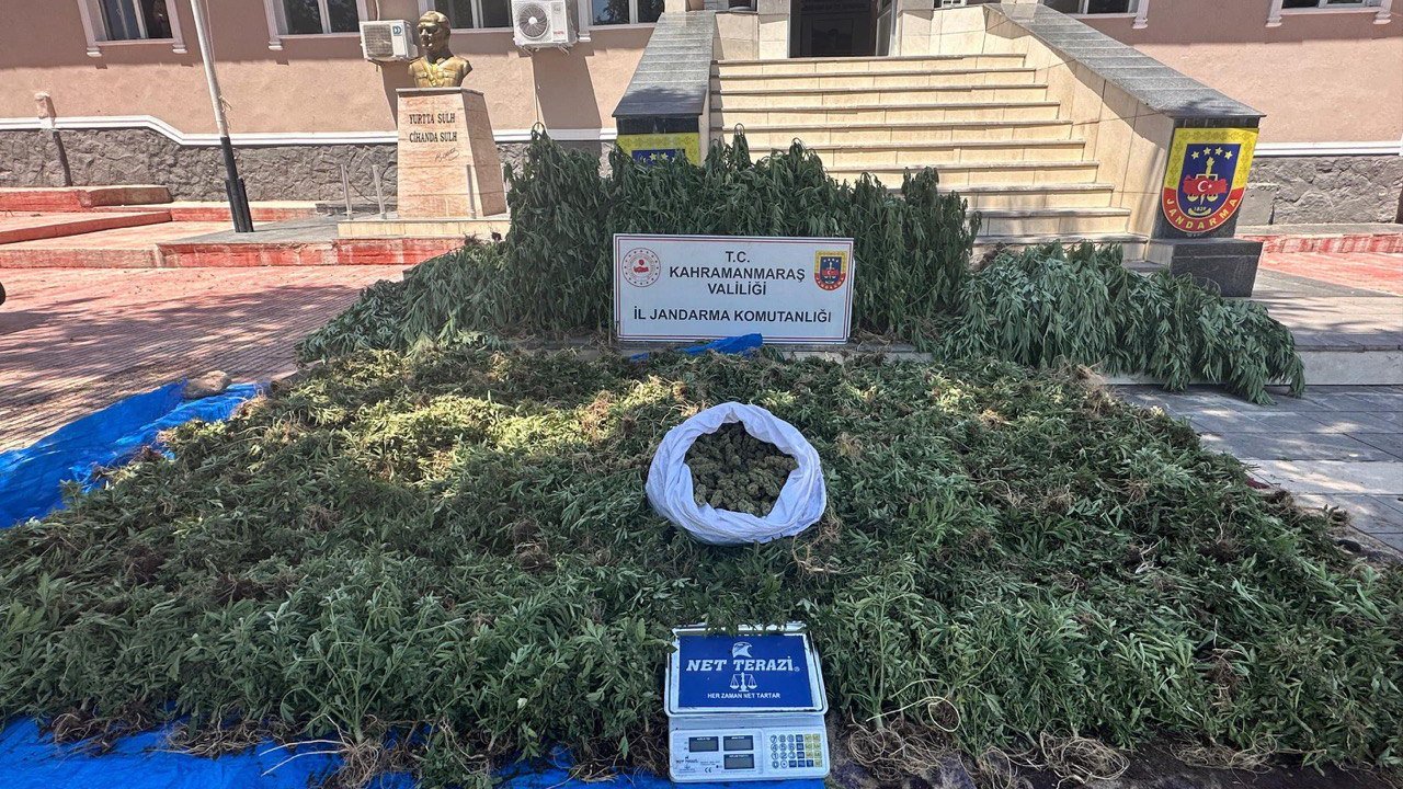 Kahramanmaraş'ta kenevir operasyonu