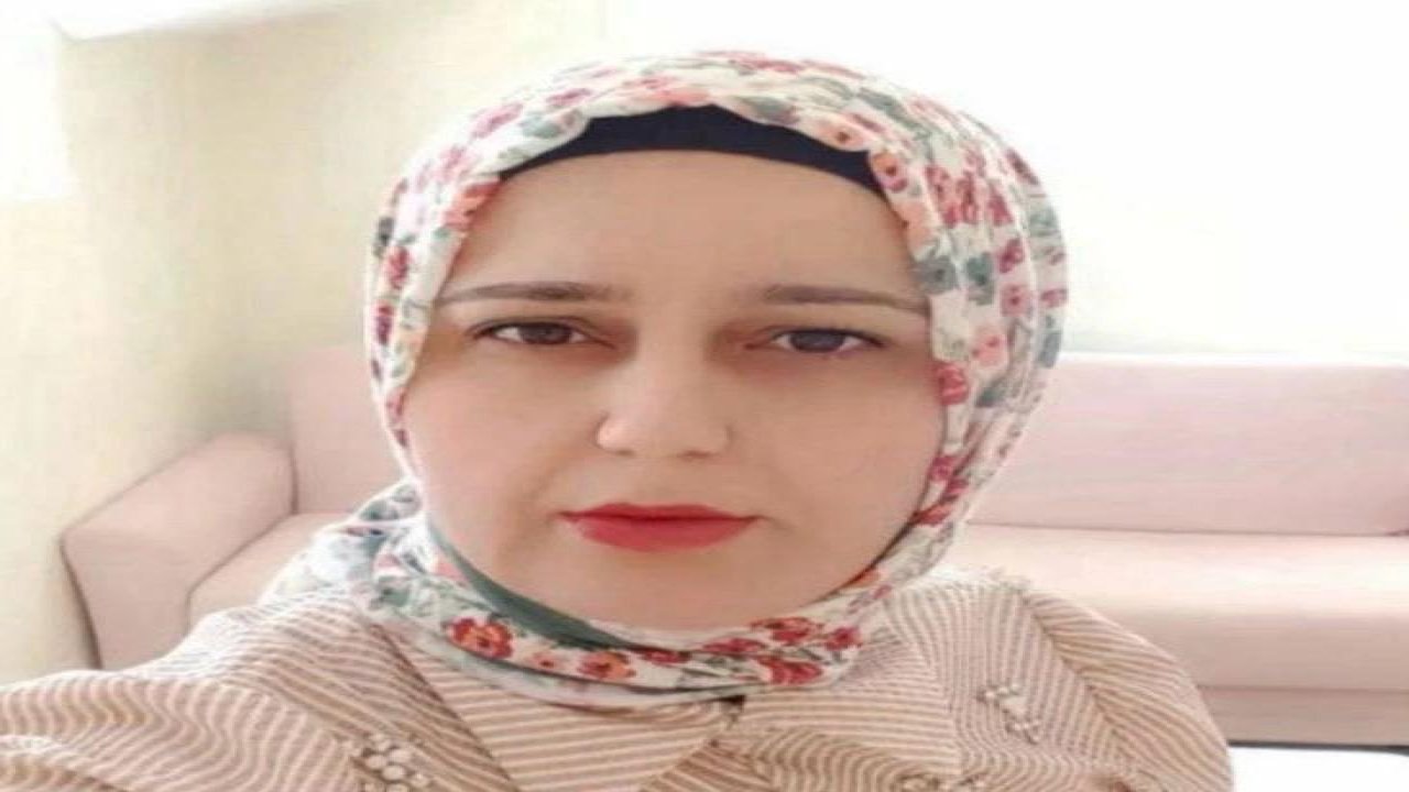 Yolun karşısına geçmek isterken canından oldu