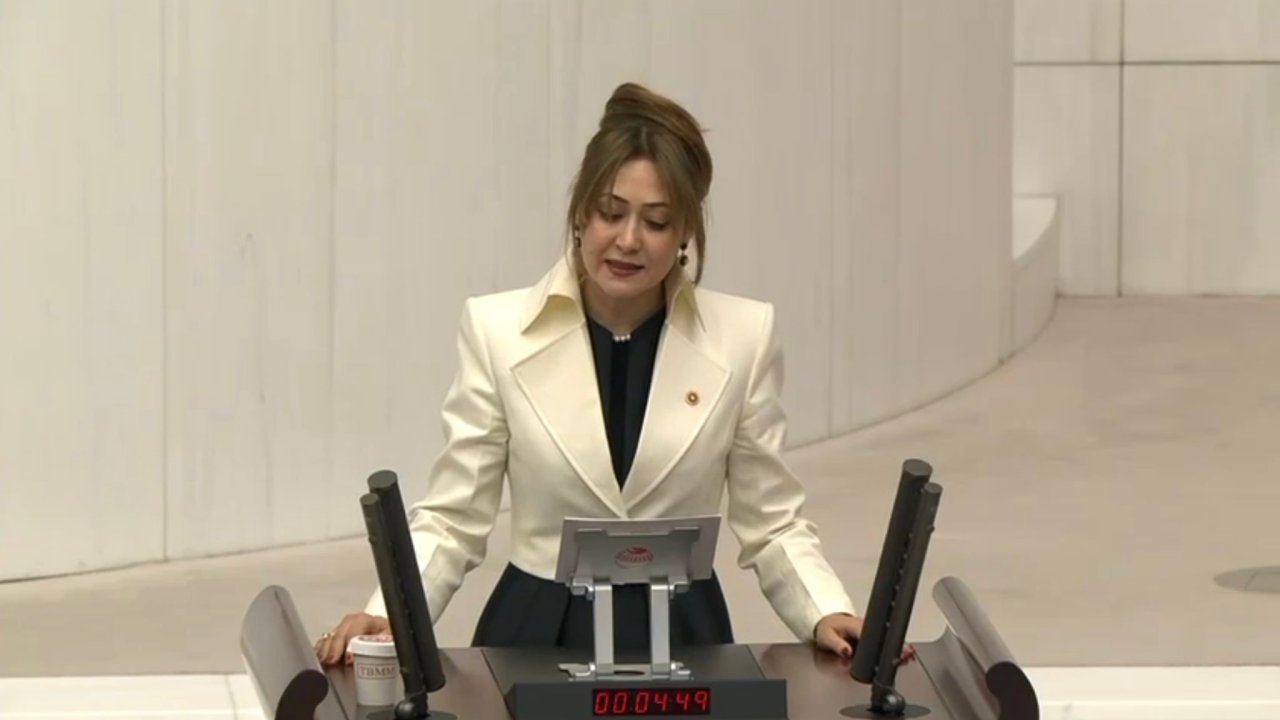 MHP’li Milletvekili Karakoç’tan Meclis’te çağrı: “Yardım değil, yatırım istiyoruz