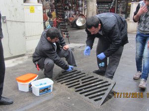 Kemirgenlerle mücadele devam ediyor