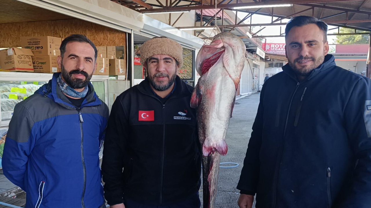 Kahramanmaraş’ın Tatlı Sularından çıkan dev Yayın Balığı İlgi Görüyor