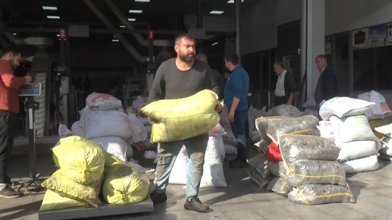 Kahramanmaraş’ta 5 Bin Ton Sızma Zeytinyağı Üretildi