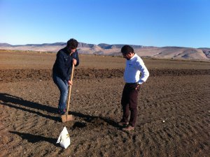 Fidanların can bulma zamanı