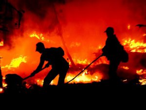 Kahramanmaraş Onikişubat'ta Orman Yangını