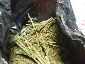 İki kişilik esrar partisine polis baskını