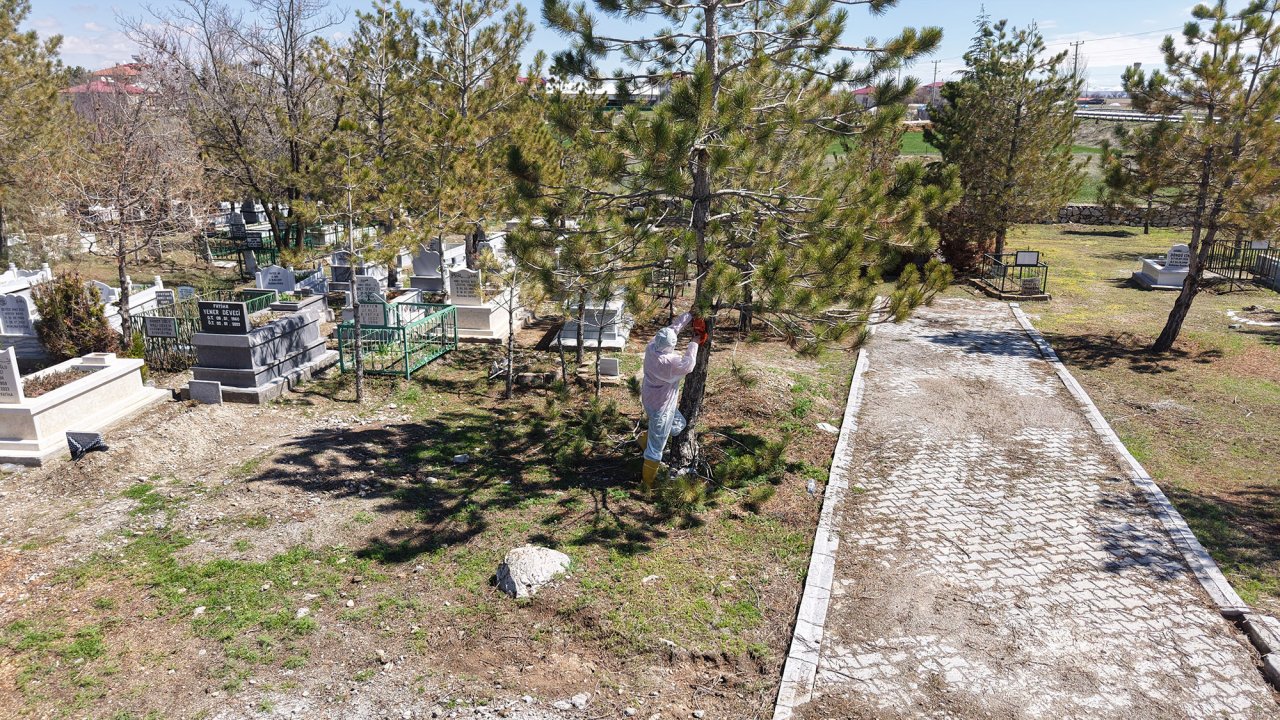 Kuzey İlçelerde Mezarlıklara Yaz Bakımı Seferberliği