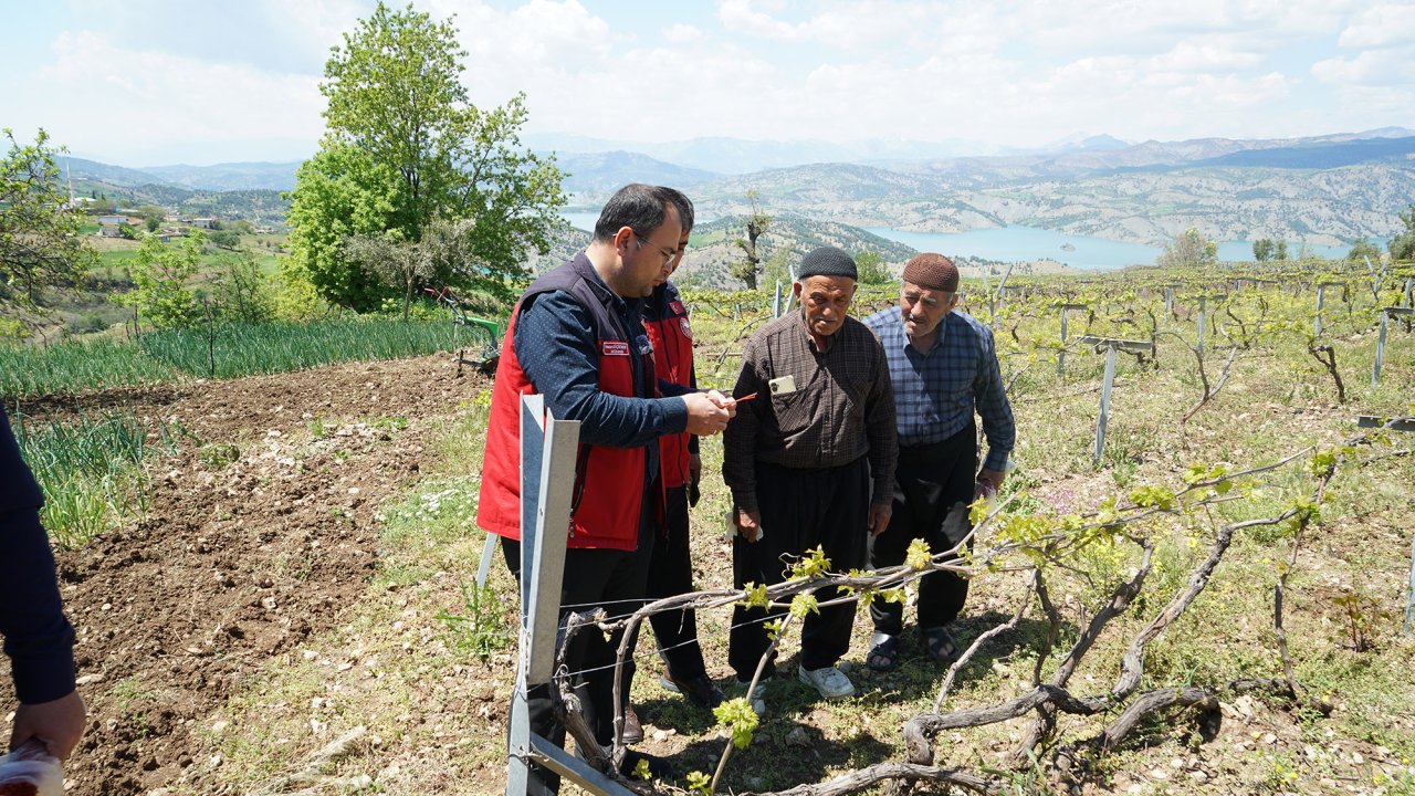 Kahramanmaraş  Bertiz Bağlarına Doğal Koruma