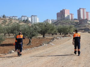 Bu fotoğraf şehri ayağa kaldırdı