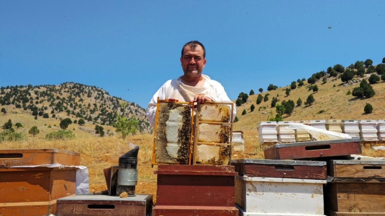 Kahramanmaraş'ta Yeni Sezon Bal Fiyatları Açıklandı