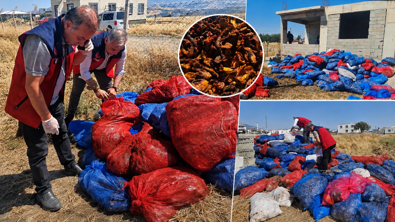 Kahramanmaraş’ta ruhsatsız mandırada tonlarca domates kurusu imha edildi