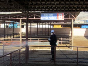 Canlı Hayvan pazarı tedbir amaçlı kapatıldı