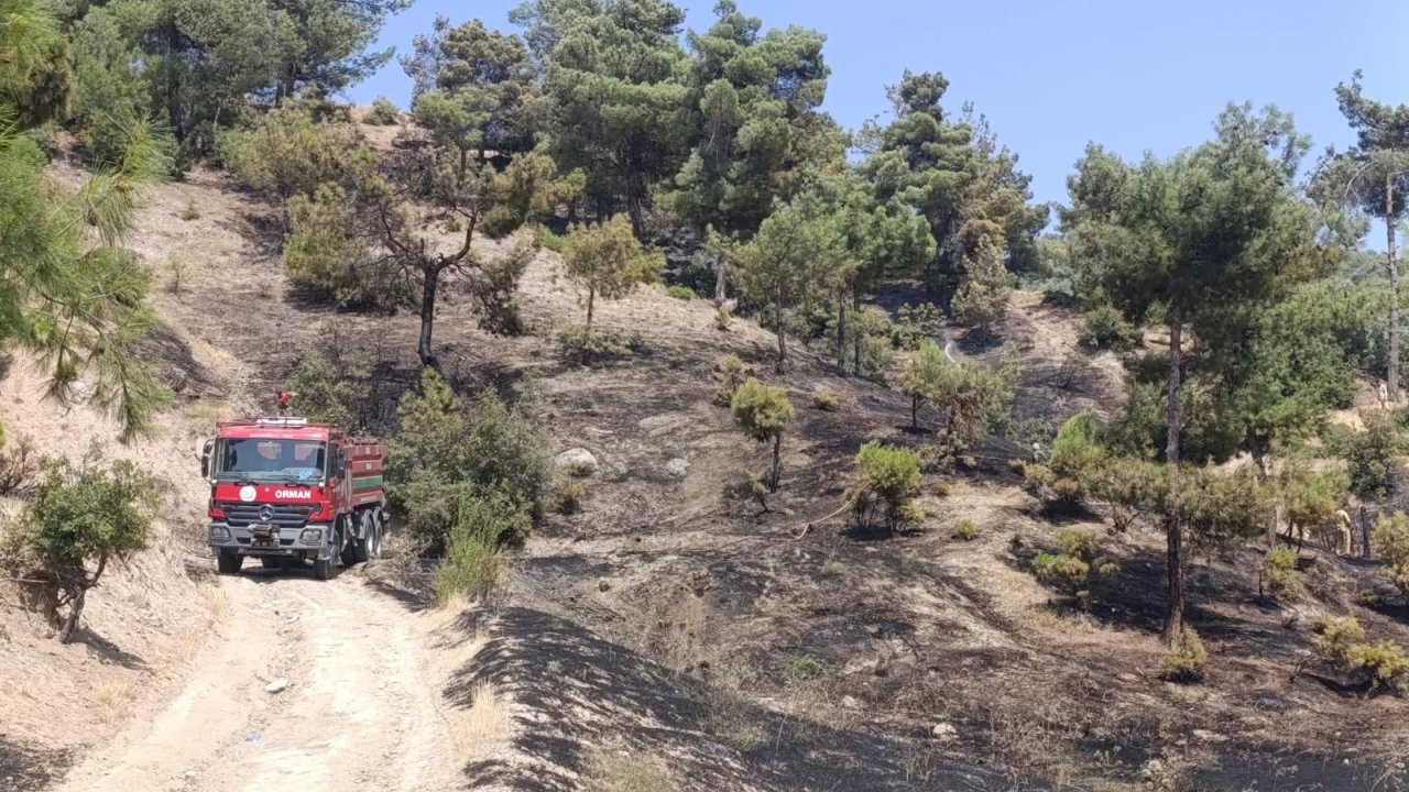Kahramanmaraş’ta Orman Yangını