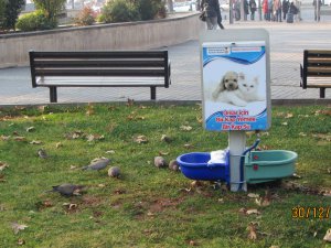 Büyükşehir uçan kuşa bile hizmet veriyor