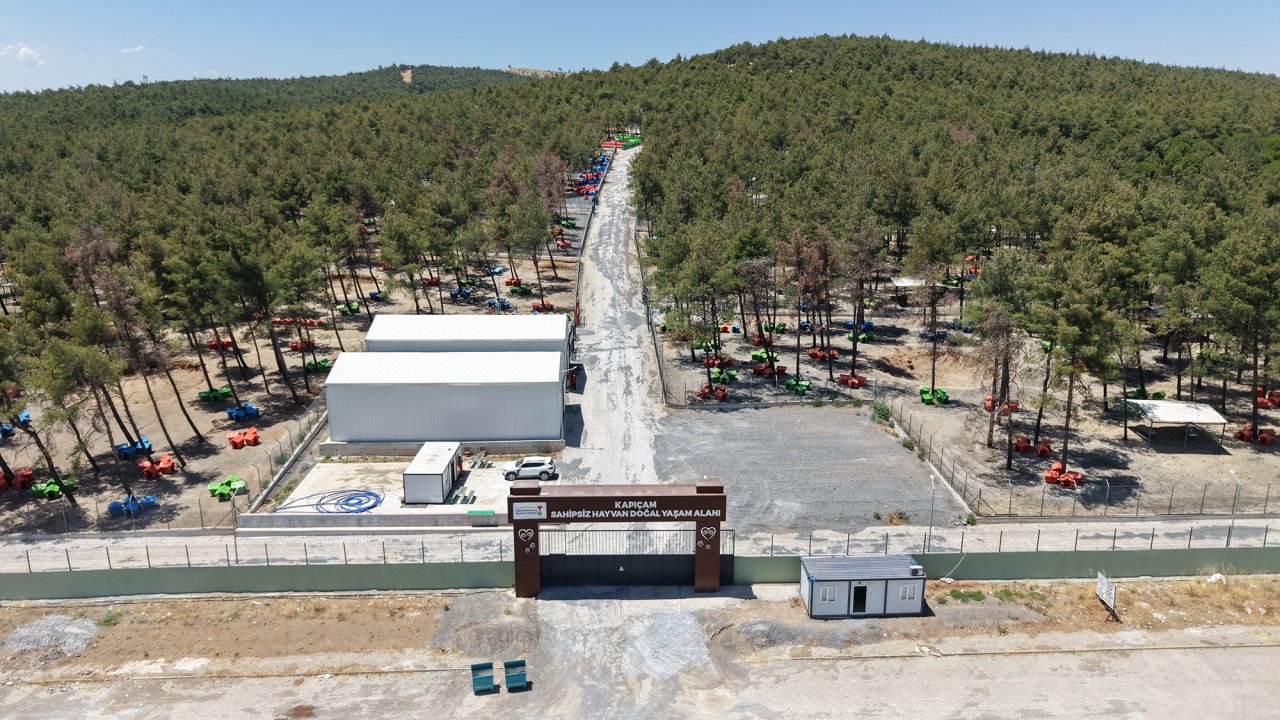 Kahramanmaraş’ta 5 Bin Can Dosta Güvenli Yaşam Alanı