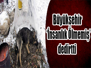 Büyükşehir 'İnsanlık ölmemiş' dedirtti