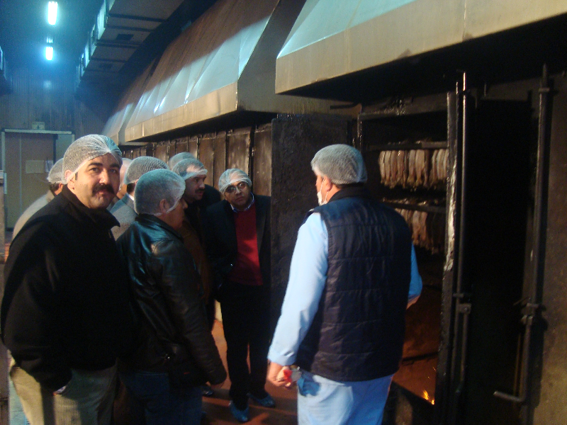 MEŞE ODUNU DUMANI İLE BALIK KEYFİ