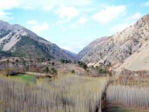 Kaski'den 2015 yılı değerlendirmesi