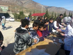 Lisede irişgit şenliği